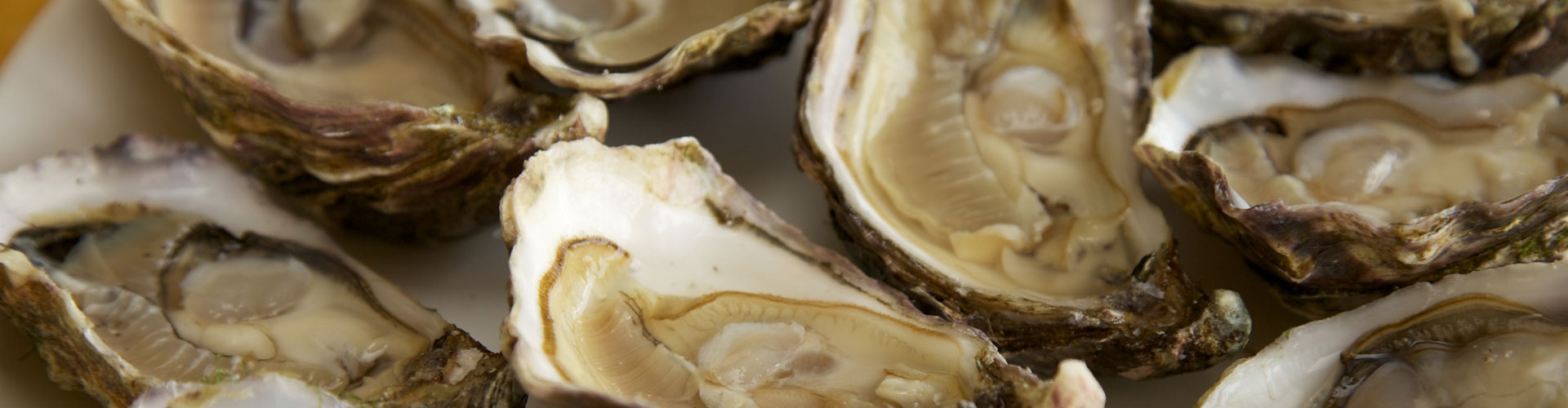 oesters - Jopenkerk