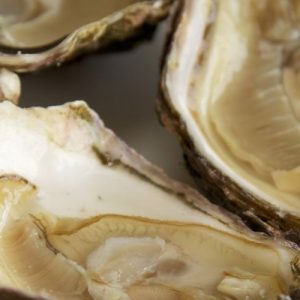 Masterclass bier en oesters